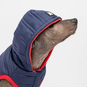 🔵 Noah Dog Jacket – Quilted Water-Resistant Winter Coat with Harness Access (Blue)
